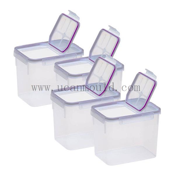 Packing-Mould--12